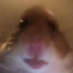 nink0np0p_andr3w