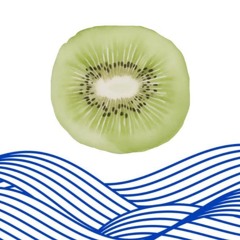 Fleuve Kiwi