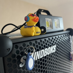 Berlin Duck