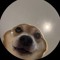 Icedcaveog9