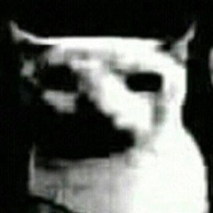 blastbeatkitty