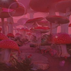 ☆𝖈𝖍𝖝𝖗𝖗𝖞𝖇𝖊𝖆𝖗☆