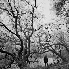 Vegard Skjerdingstad