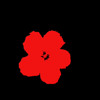 Yoko