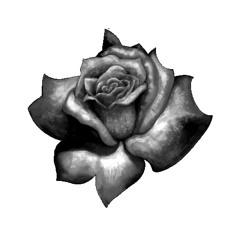 𝔞𝔵𝔢𝔩 𝔬𝔫 𝔱𝔥𝔢 𝔟𝔢𝔞𝔱