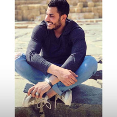Mohamed S Nasr
