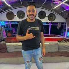Mohamed S Ayed