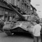 tiger1