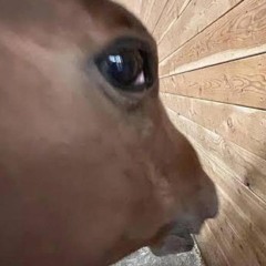 Ben
