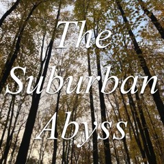 thesuburbanabyss