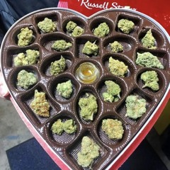 KN