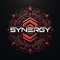 RAVE SYNERGY