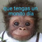 jake