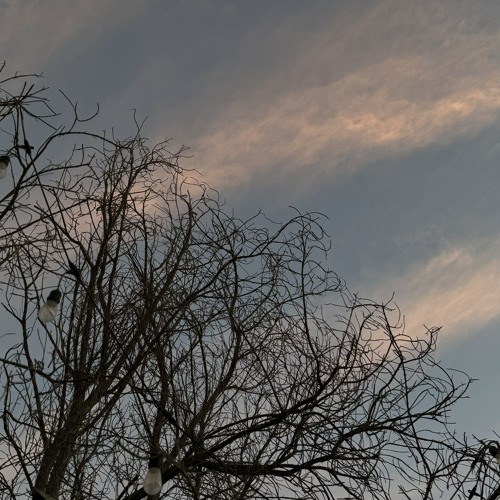 Your likes from Spotify - 2