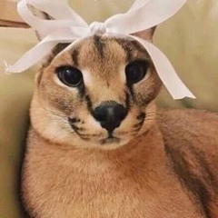 плейлист для дискорда