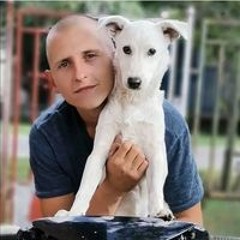 Attila Sándor Bencsik