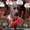 jay.slw