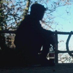 stephen