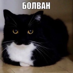 Летающий валенок
