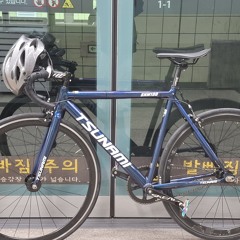 카멜레온 쌍브남