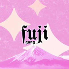 Mt. Fuji - Fuji Gang