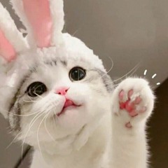 theClariceDJ
