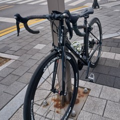 BH 트랙마돈 주인장