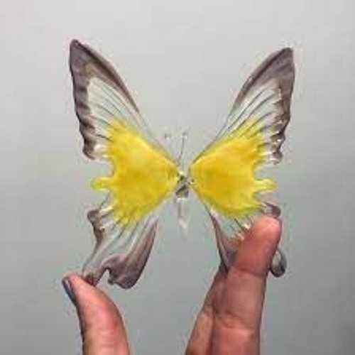 butterfly69’s avatar