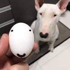 Ate Dogs
