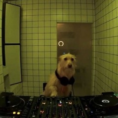 NotAProducer