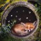 foxboycamz