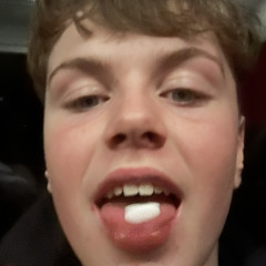 WhiteyBoiiiJara