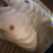 duong_real.vjp