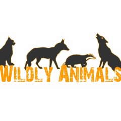 Wildly Animals