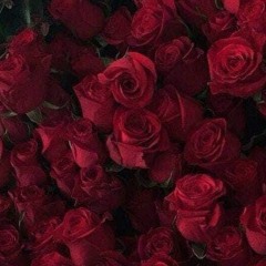 Rose lover🌹🌹