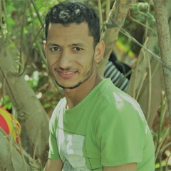 bahaa gomaa
