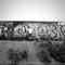KMF_DNB