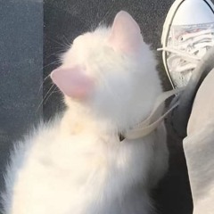 愛