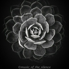music_of_the_silence