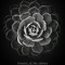 music_of_the_silence