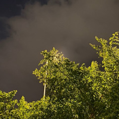 رموسس
