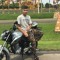 Guilherme Alves