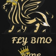 Fly Bino