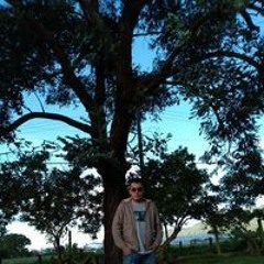 Alejandro Mateus Galindo