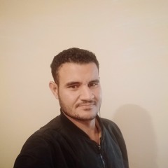 Bakr Farouk Noureddine