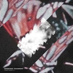 Trainsient