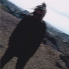 I'm a Bitch... I'm a Lover