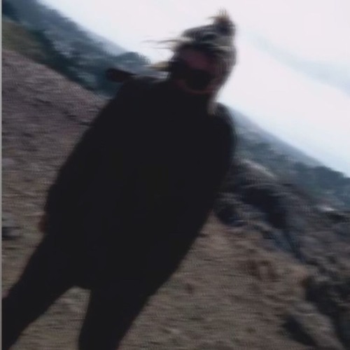 I'm a Bitch... I'm a Lover