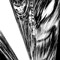 Griffith