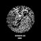 SYNAPS23 - DMC SOUNDSYSTEM